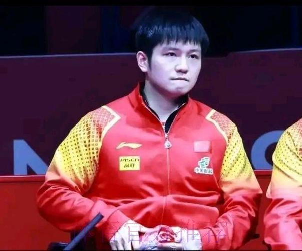 难怪樊振东不想回归!国乒祖师爷点出关键原因,实在是太欺负人了 难怪樊振东不想回归!国乒祖师爷点出关键原因,实在是太欺负人了